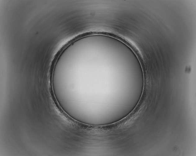 X0000090910935200707301030