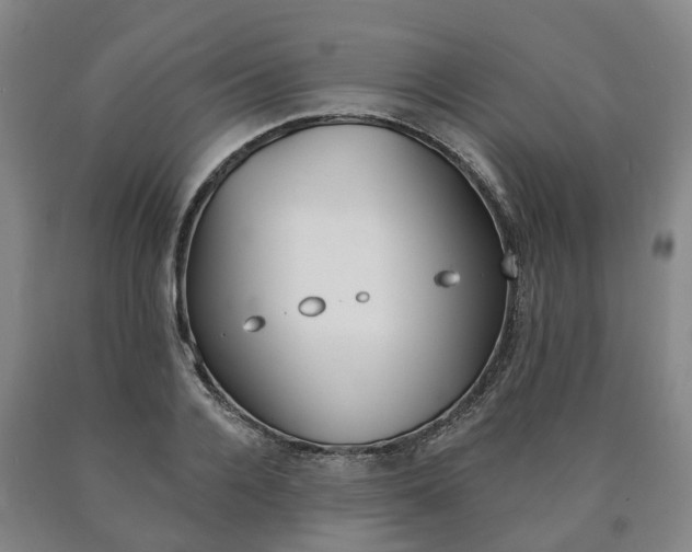 X0000090910936200707301030