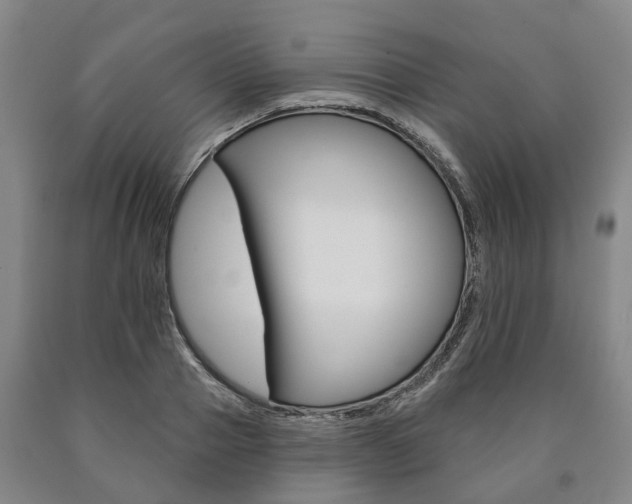 X0000090910937200707301030