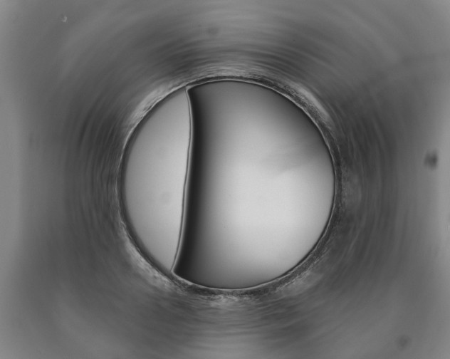 X0000090910938200707301030