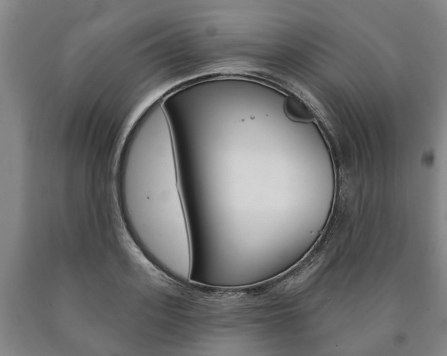 X0000090910939200707301030
