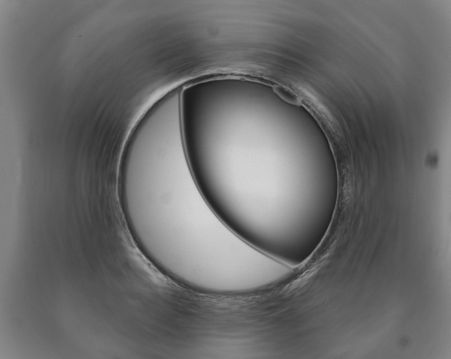 X0000090910940200707301030