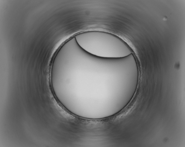 X0000090910941200707301030