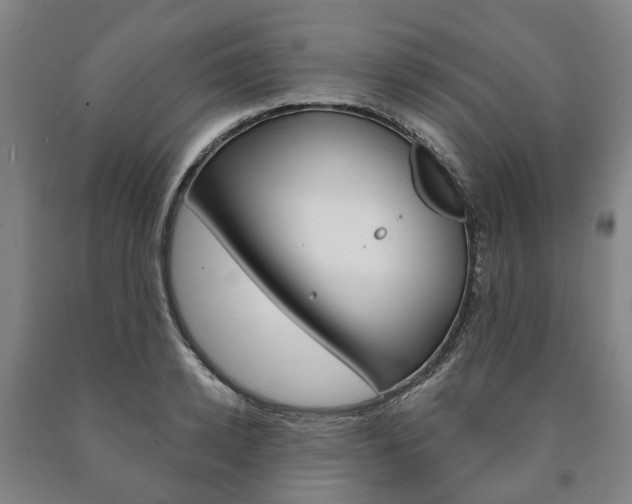 X0000090910942200707301030