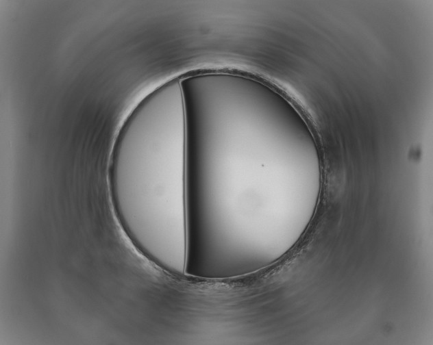 X0000090910943200707301030