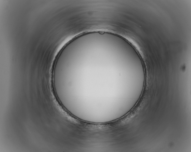 X0000090910949200707301030