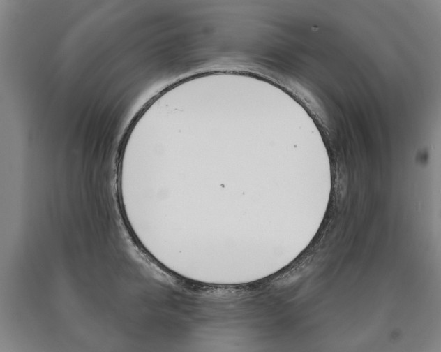 X0000090910950200707301030