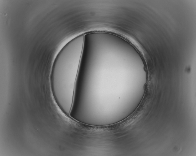 X0000090910951200707301030