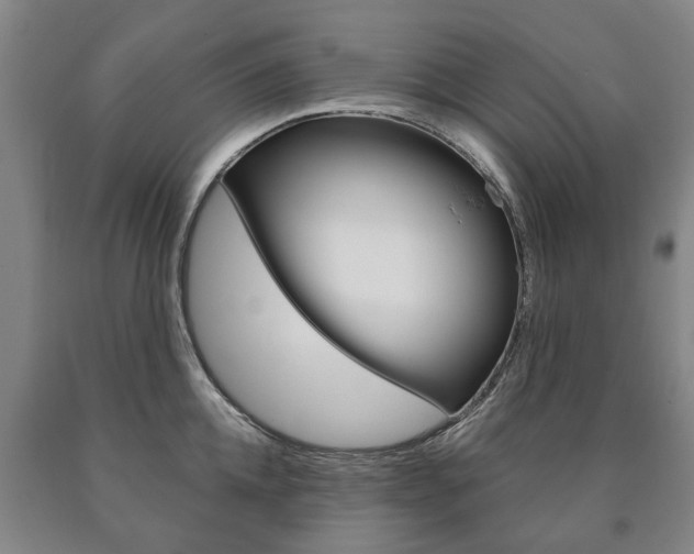 X0000090910952200707301030