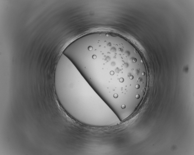 X0000090910953200707301030