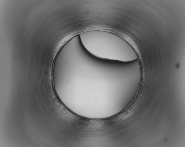 X0000090910954200707301030