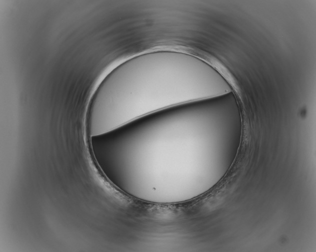 X0000090910955200707301030