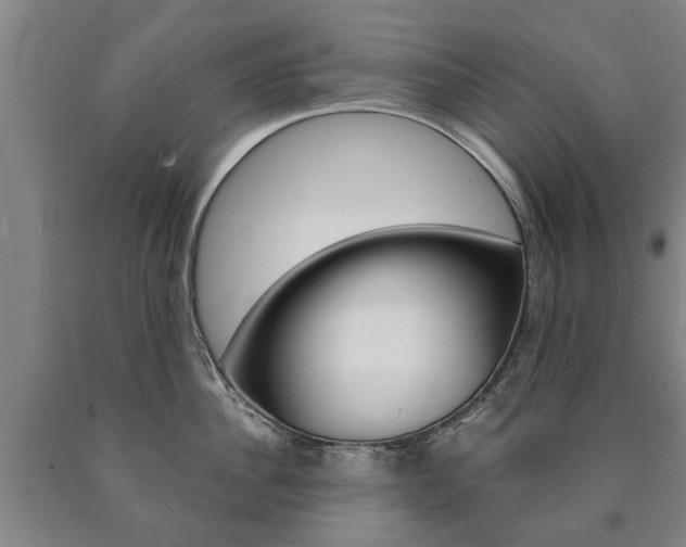X0000090910956200707301030