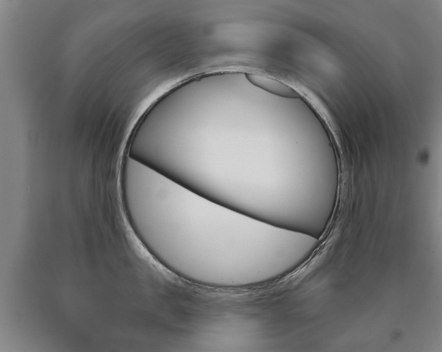 X0000090910957200707301030