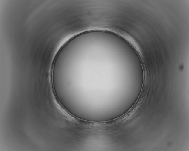 X0000090910958200707301030