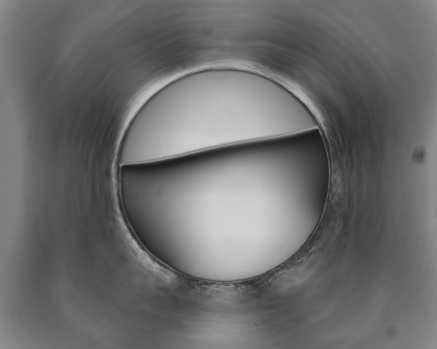 X0000090910959200707301030