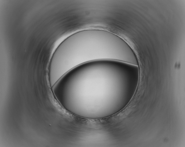 X0000090910960200707301030