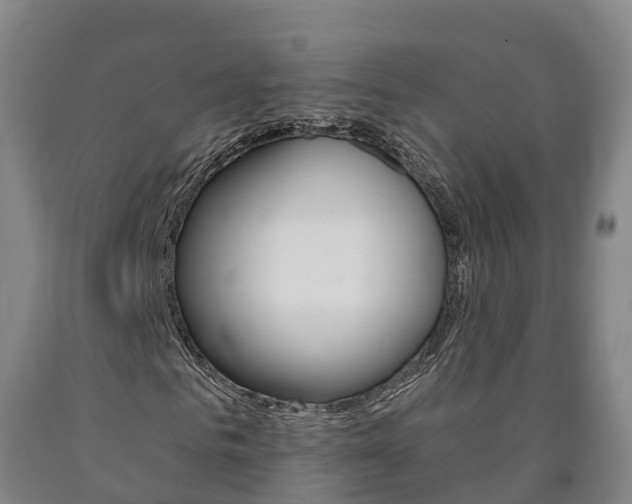 X0000090910961200707301029