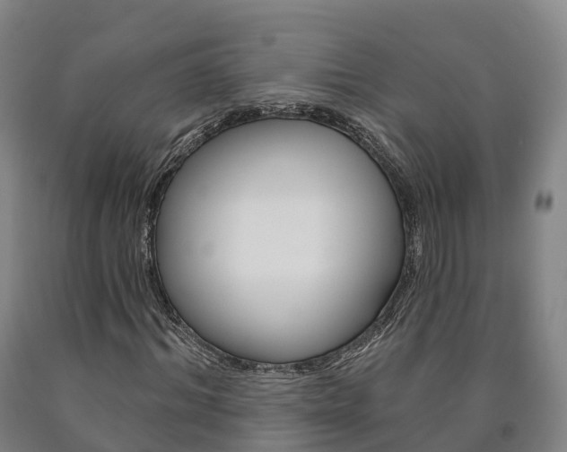X0000090910964200707301029
