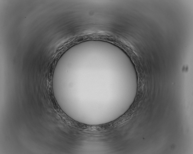 X0000090910966200707301029