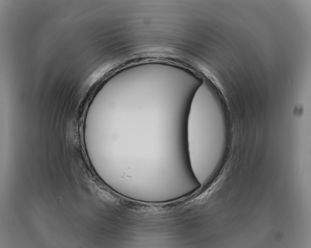 X0000090910970200707301029
