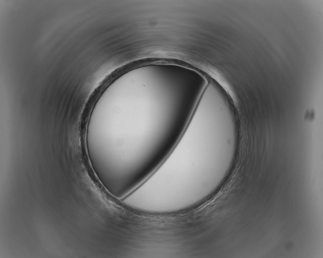 X0000090910972200707301029