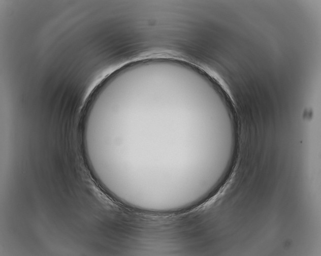 X0000090910973200707301029
