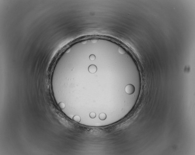 X0000090910974200707301029