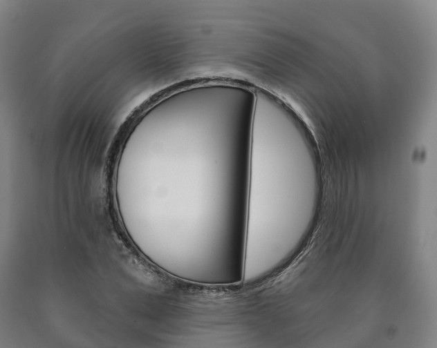 X0000090910975200707301029