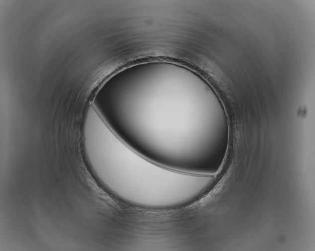 X0000090910977200707301029