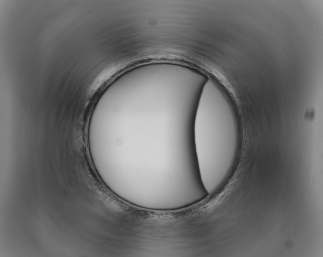 X0000090910978200707301029