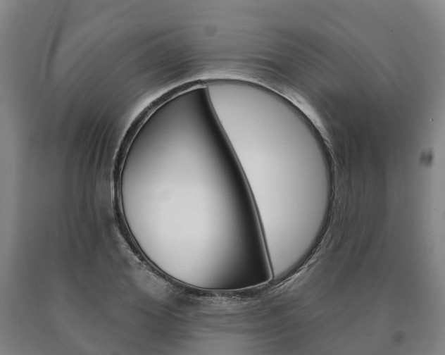 X0000090910980200707301029