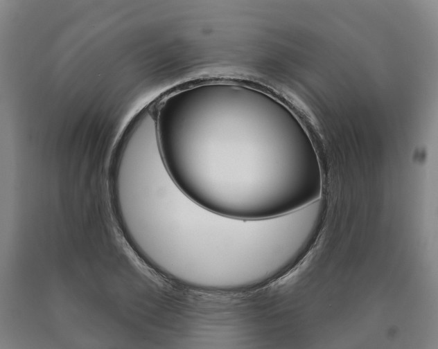 X0000090910981200707301029