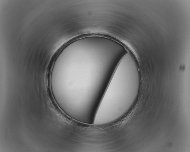 X0000090910983200707301029