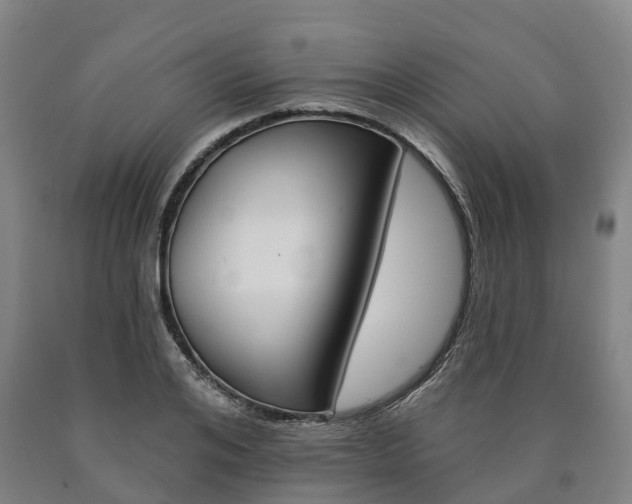 X0000090910984200707301029