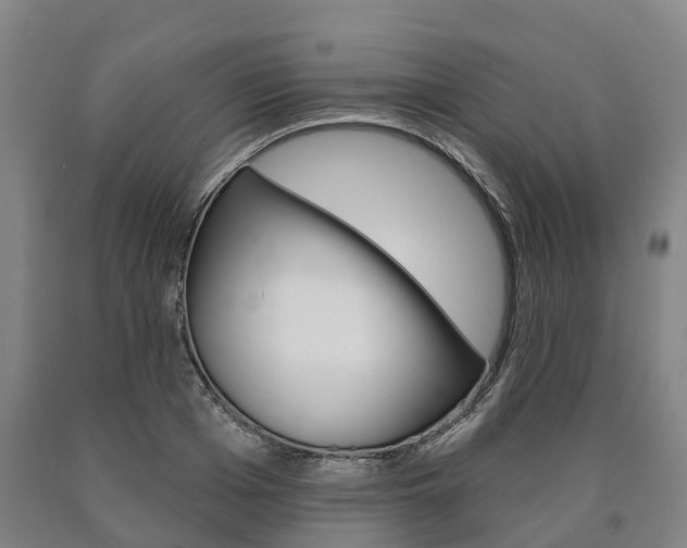 X0000090910985200707301029