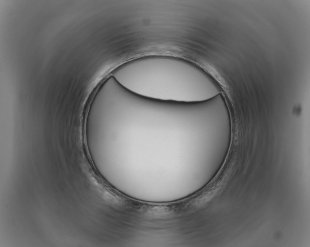 X0000090910986200707301029