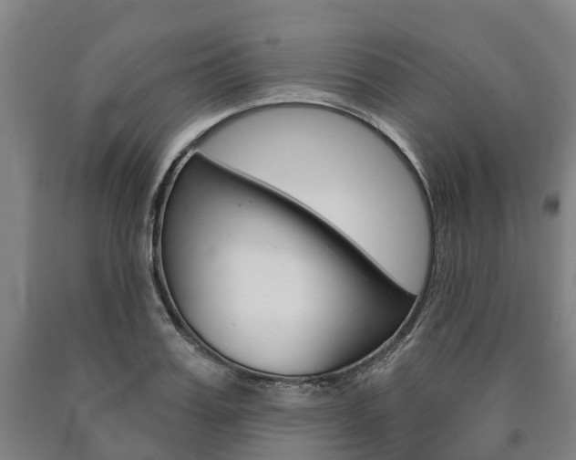 X0000090910987200707301029