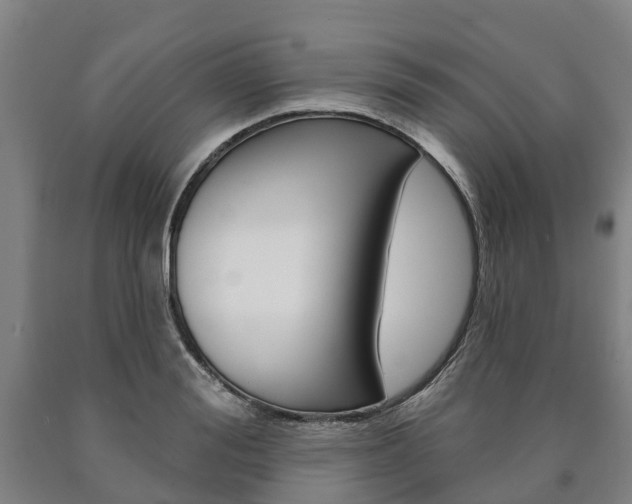 X0000090910988200707301029