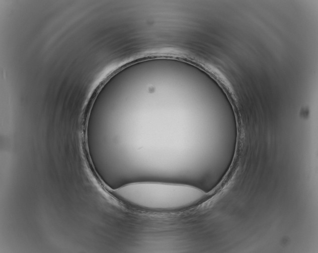 X0000090910989200707301029