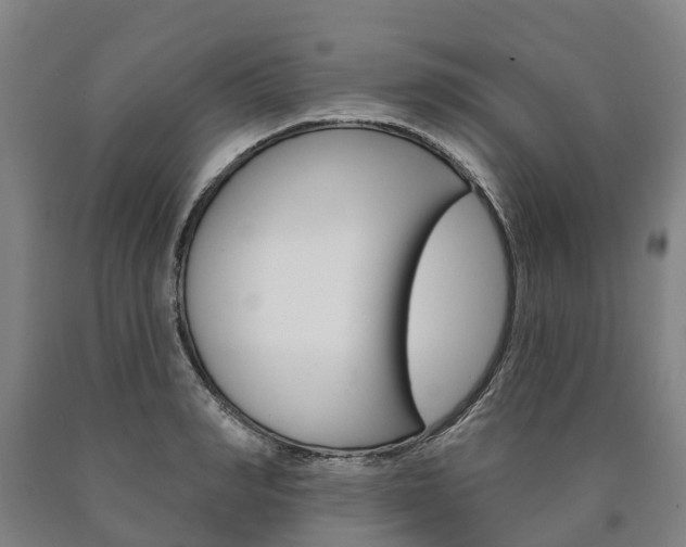 X0000090910990200707301029