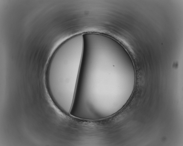 X0000090910991200707301029