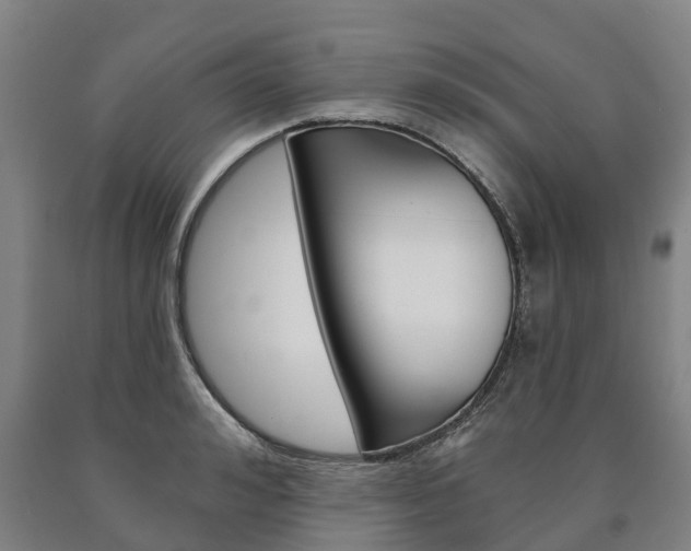X0000090910992200707301029