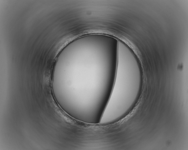 X0000090910993200707301029