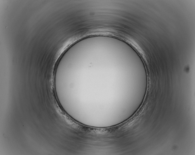 X0000090910994200707301029