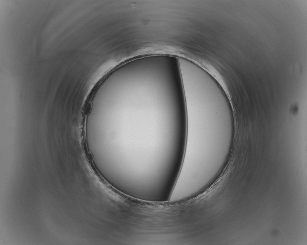 X0000090910997200707301029