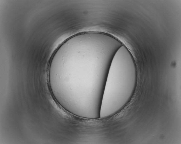 X0000090910998200707301029