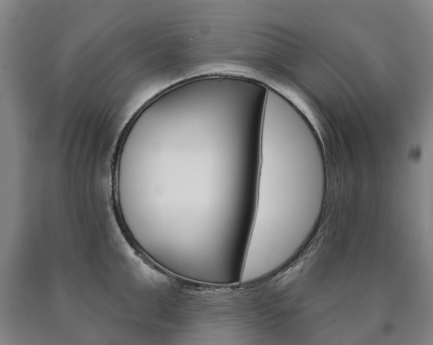 X0000090910999200707301029