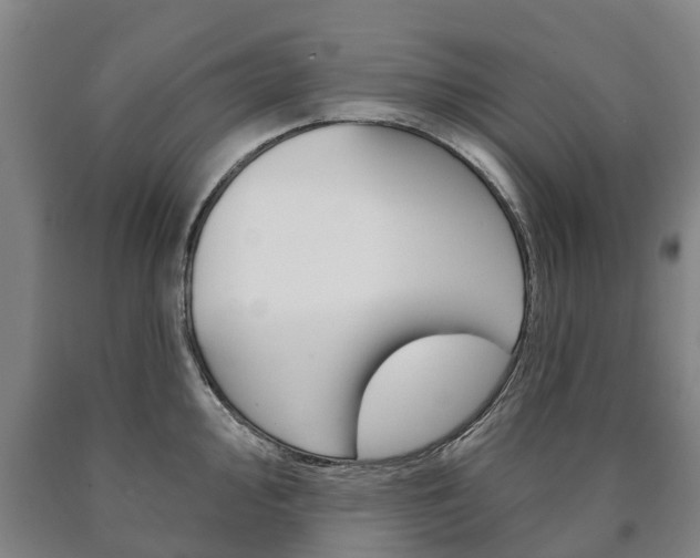 X0000090911000200707301029