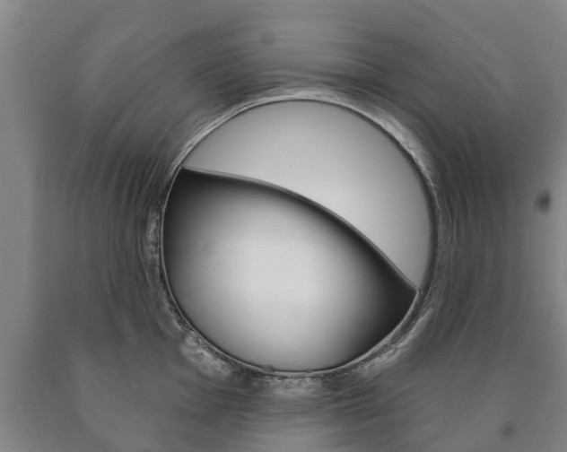 X0000090911001200707301029